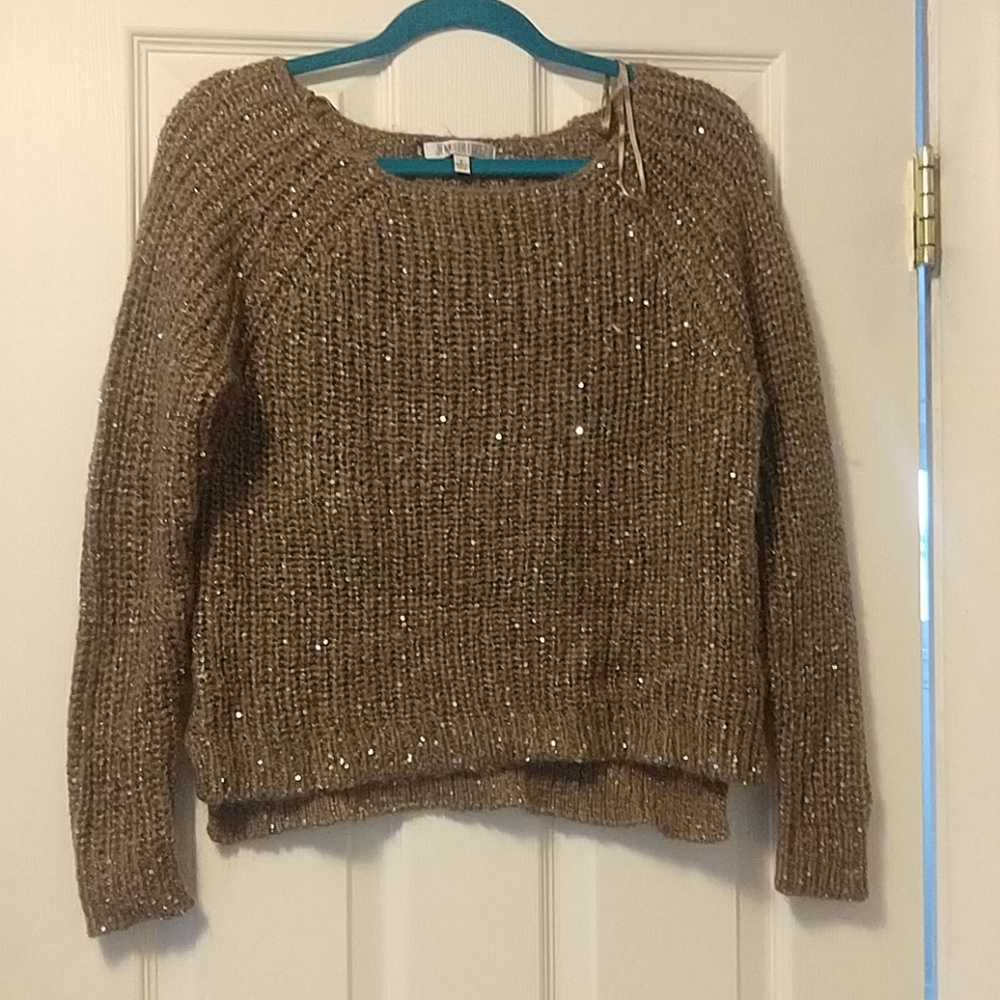 Sparkly tan sweater